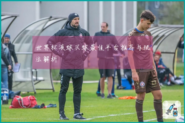 世界杯滚球买球最佳平台推荐与玩法解析