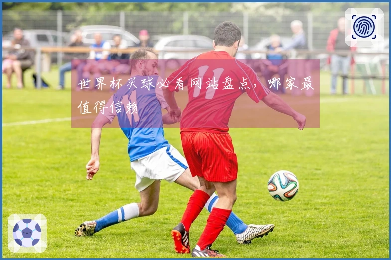 世界杯买球必看网站盘点，哪家最值得信赖