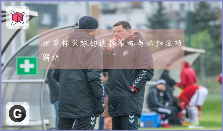 世界杯买球的选择策略与必知技巧解析