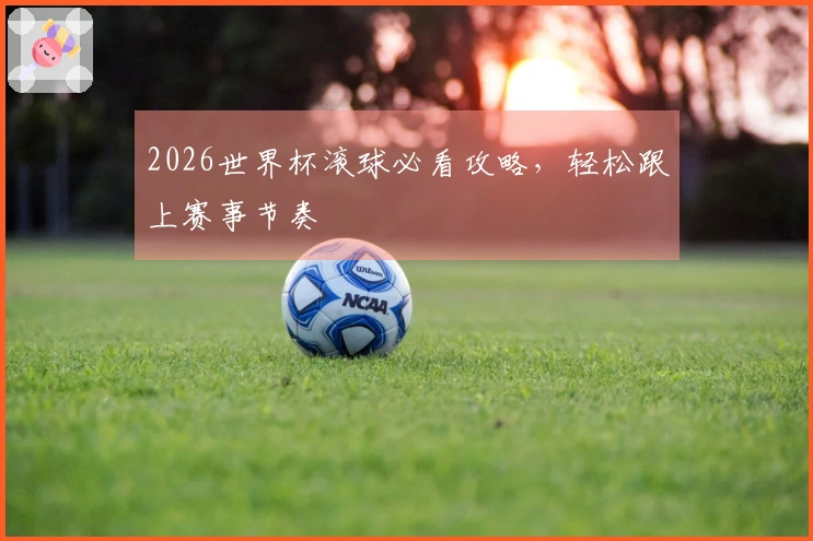 2026世界杯滚球必看攻略，轻松跟上赛事节奏