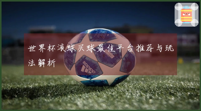 世界杯滚球买球最佳平台推荐与玩法解析