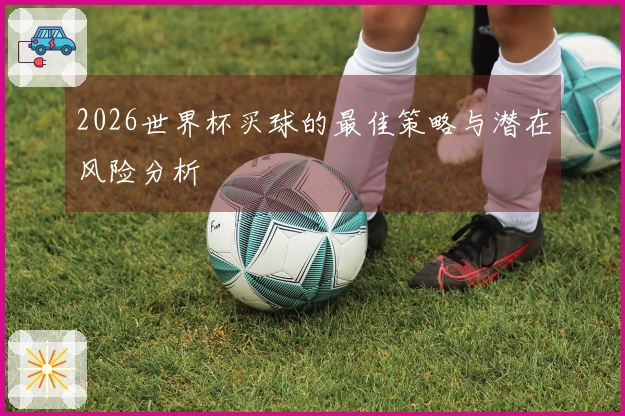2026世界杯买球的最佳策略与潜在风险分析